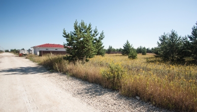 Например, в Воронежской области, в коттеджном поселке Снегири, продается земельный участок на площадью 50 соток. 