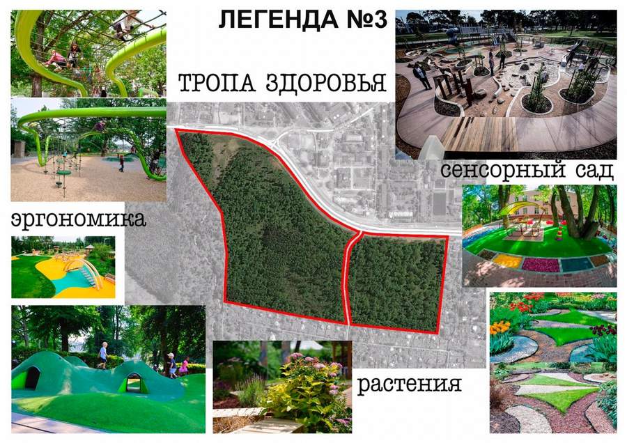 Эксперты ОНФ в Москве предложили несколько концепций благоустройства зоны отдыха в поселке Кокошкино Новой Москвы!