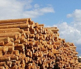 Для дальнейшей проработки данного вопроса рабочей группой было принято решение оценить уровень развития производства продукции деревянного домостроения в каждом субъекте РФ. 
